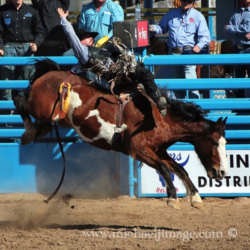 rodeo 9